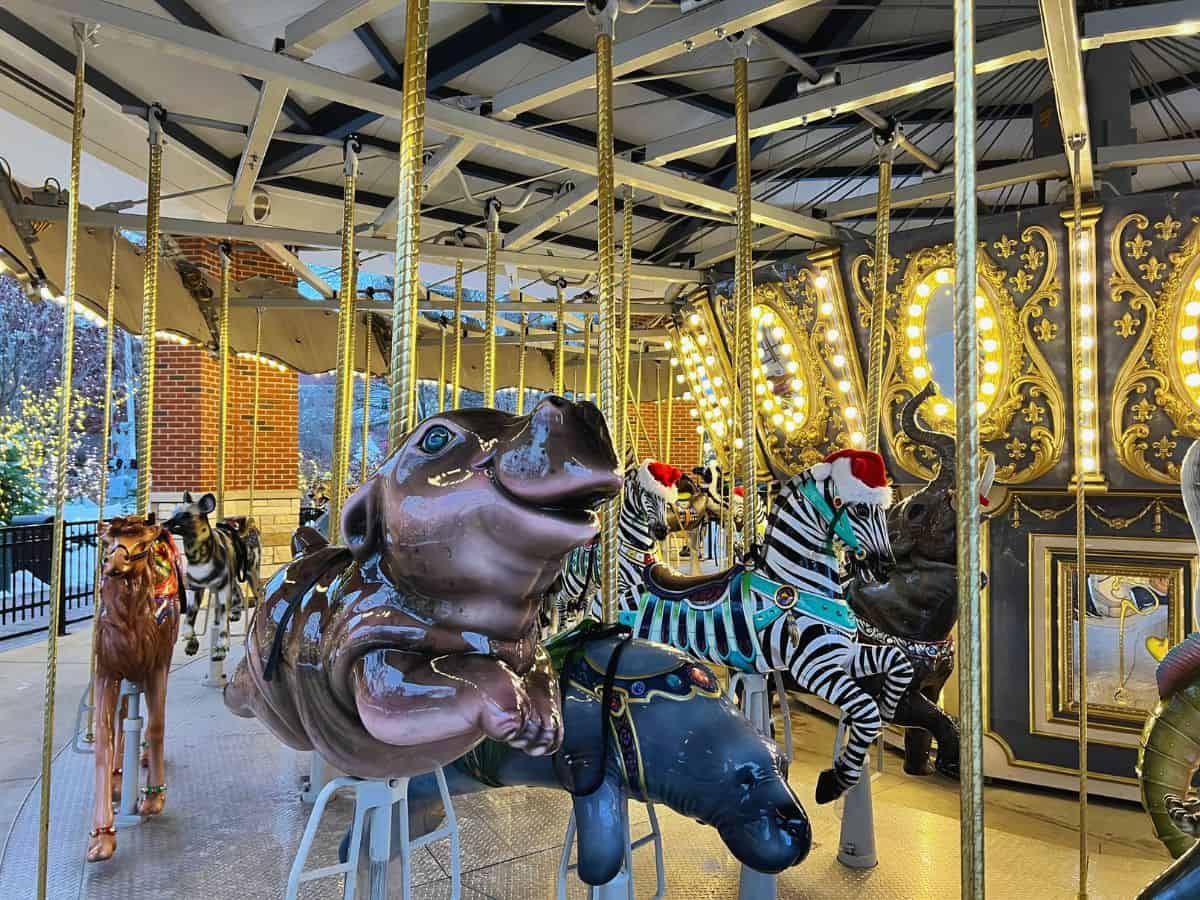 Lights shine bright on the Cincinnati Zoo's Conservation Carousel