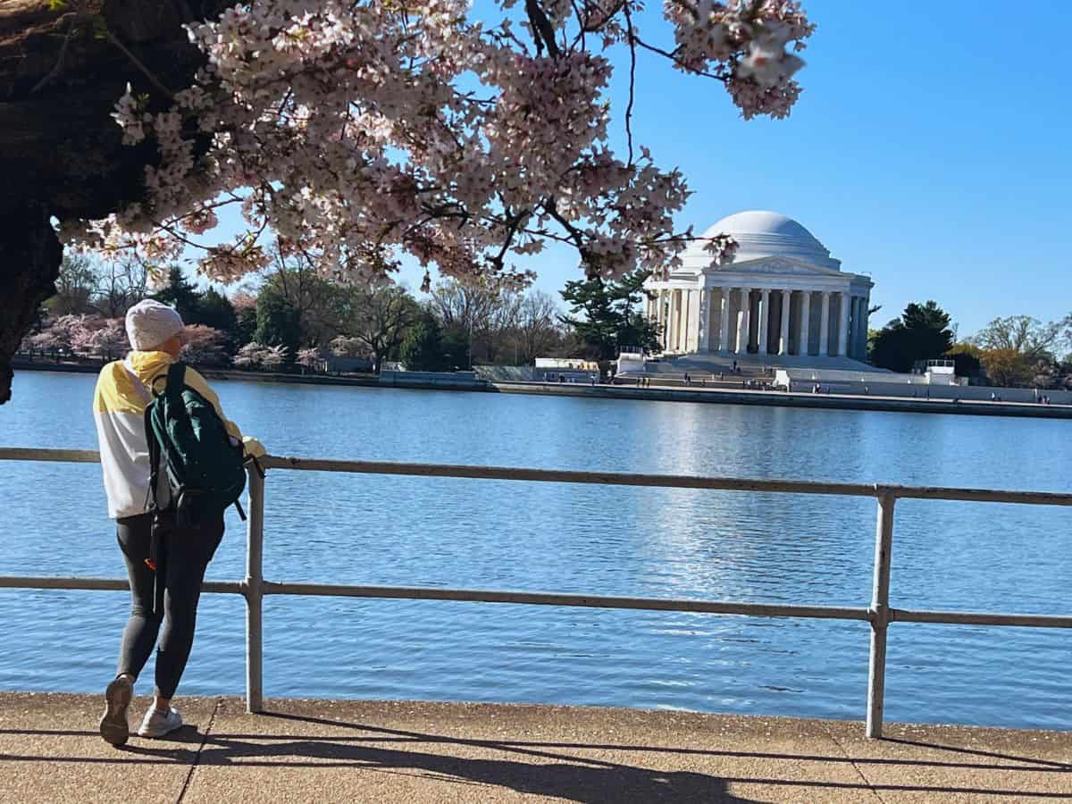 A woman admires the Jefferson Memorial from across the water along Tidal Basin.