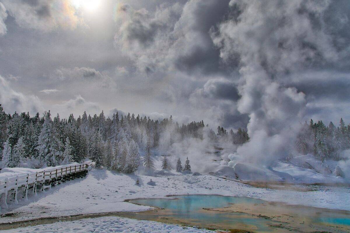 Steam rises from the ground in a snowy Norris Geyser Basin in winter