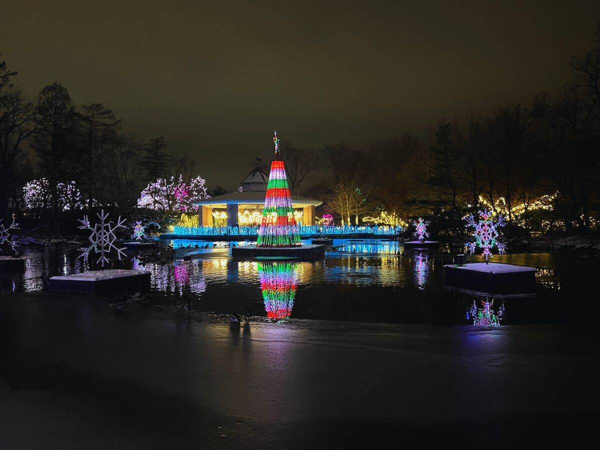 A Christmas tree reflects in Swan Lake at the Cincinnati Zoo Festival of Lights.