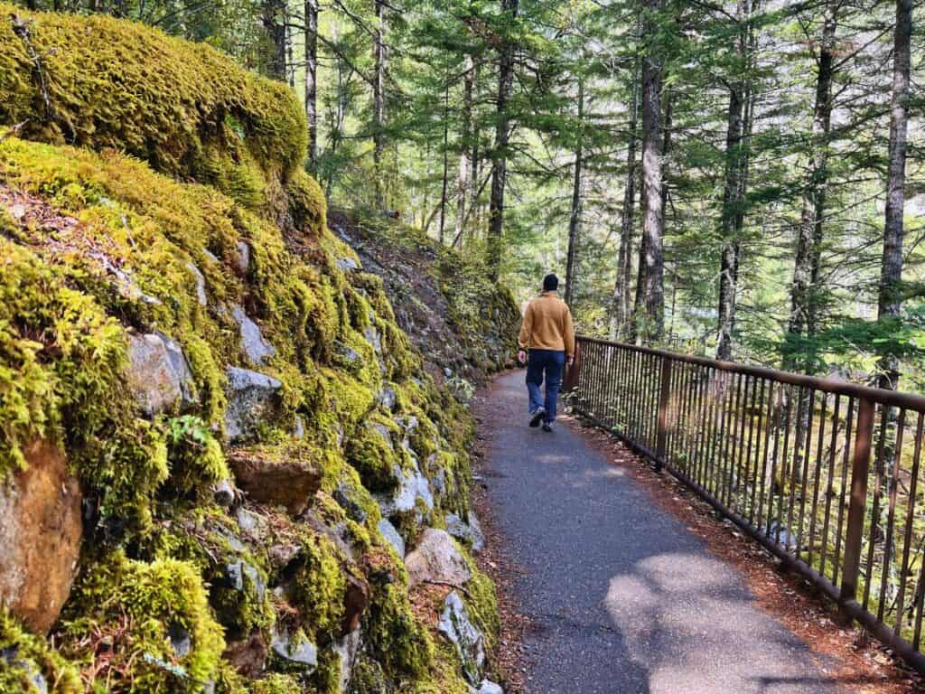 A man hikes past moss-covered rocks in North Cascades National Park.
