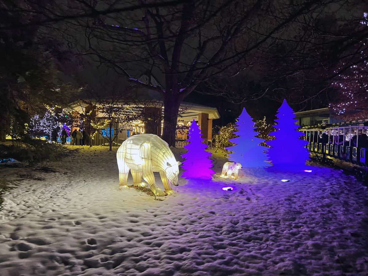 Polar bear lanterns glow white at the Festival of Lights, Cincinnati Zoo