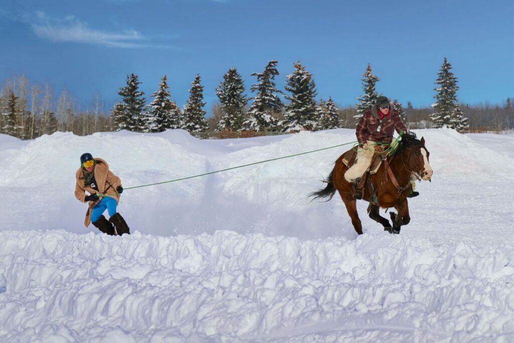 A horse pulls a skier at the SKIJOR Canada Event in Calgary