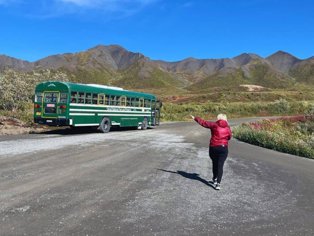A woman walks along a road and points at a green bus in Denali National Park, Alaska.
