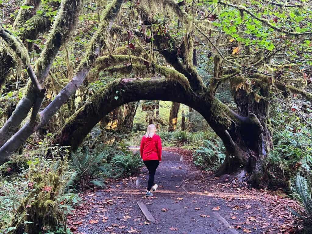A woman walks under a moss-draped and arch-shaped tree branch in Olympic National Park, WA.