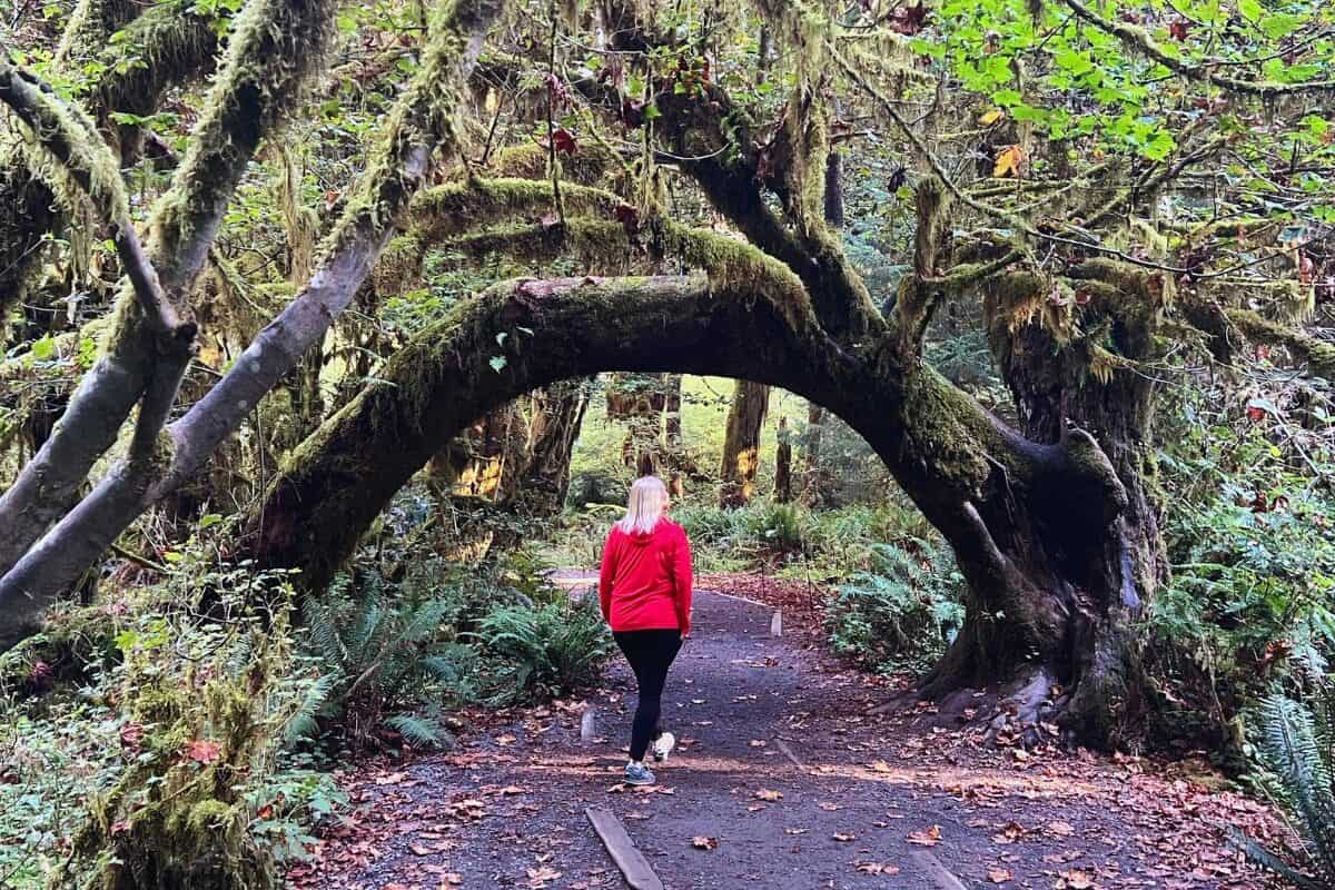 A woman walks under a moss-draped and arch-shaped tree branch in Olympic National Park, WA.