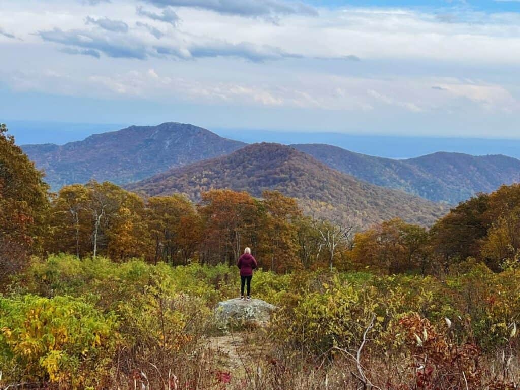 A woman stands on a rock and enjoys the view from Thorofare Mountain Overlook on Skyline Drive.
