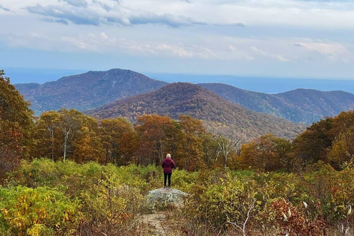 A woman stands on a rock and enjoys the view from Thorofare Mountain Overlook on Skyline Drive.