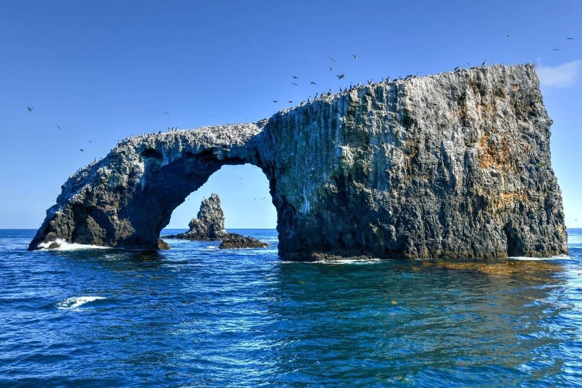 Birds perch on and fly above an arch rock, Anacapa Island, Channel Islands National Park.