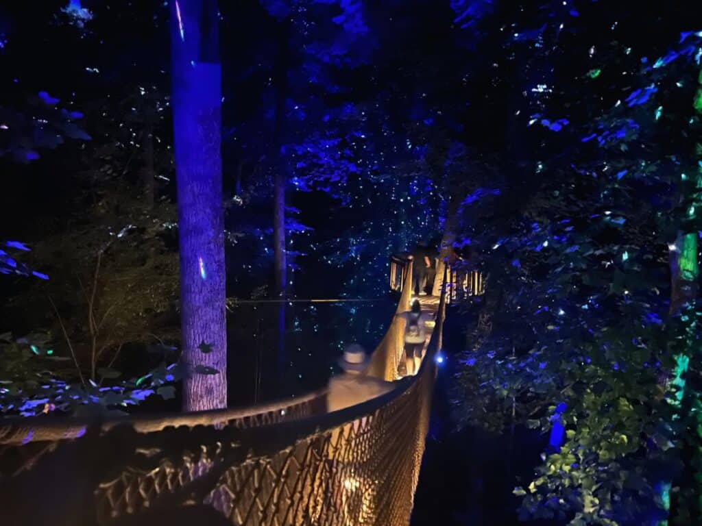 Anakeesta visitors walk across a treetop suspension bridge at night as lights glow in the forest.