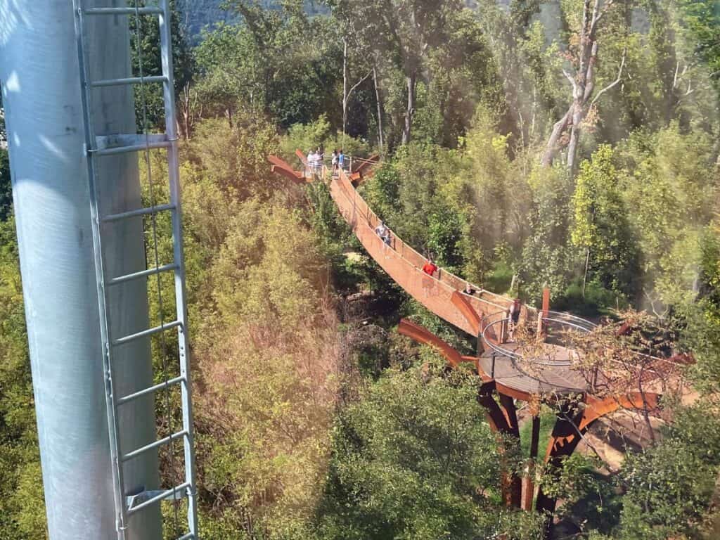 Anakeesta visitors walk across hanging bridges in the treetops.