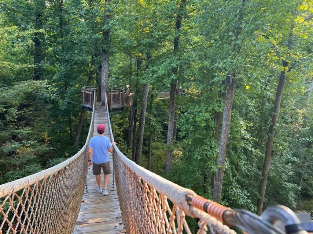 A man walks across one of Anakeesta's treetop suspension bridges.